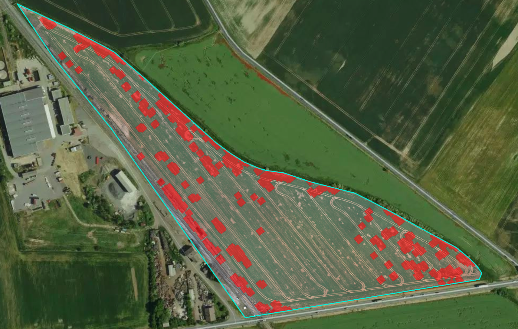 Výsledná aplikační mapa projektu LUPOFYT — červeně vyznačená ohniska úhorníku na satelitním snímku 9ha pole